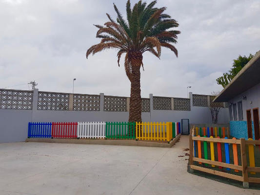 telde_palmeras_ceip_buen_estado_2020 Las palmeras de los CEIP se encuentran en buen estado de salud
