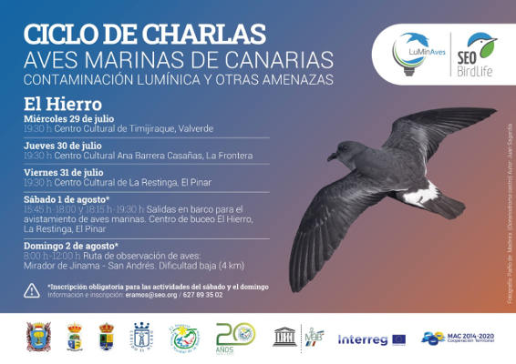 el_hierro_supervivencia_aves_marinas_2020 Reserva de la Biosfera aborda la supervivencia de las aves marinas