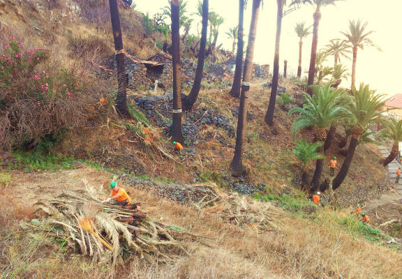 la_gomera_trabajos_limpieza_barrancos_2020 Trabajos de limpieza y adecuación de pistas, cañadas y barrancos