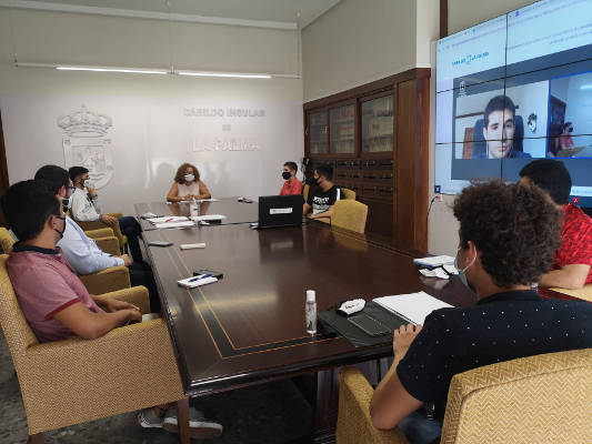 la_palma_consejo_juventud_2020 El Cabildo avanza en el reglamento del Consejo de la Juventud
