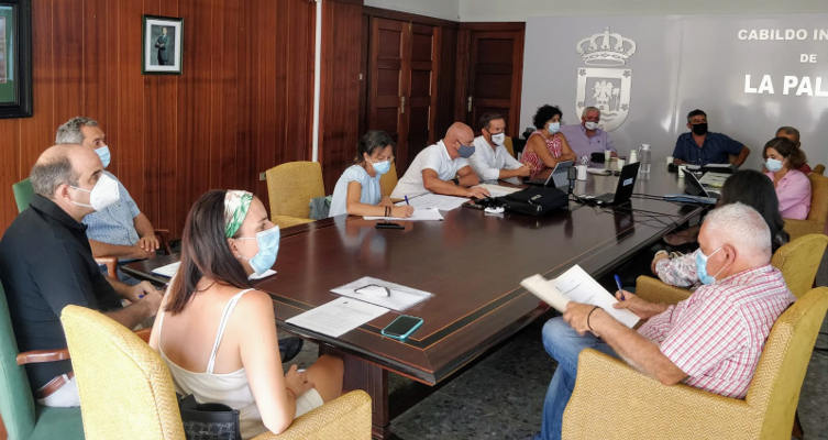lapalma_Comisión_Patrimonio_Cultural_2020 Se constituye la nueva Comisión Insular de Patrimonio Cultural