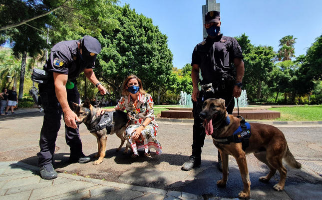 sc_tenerife_servicio_Veterinario2020 El Ayto. licita la atención veterinaria para los perros-policía