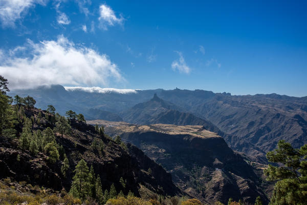 gcanaria_acusa_seca_mejora_2020 Mejorar accesos y recuperar caminos tradicionales en Acusa Seca