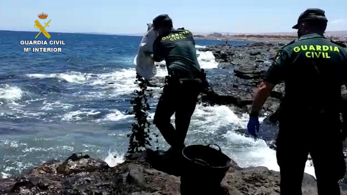 guardia_civil_marisqueo_ilegal_fuerteventura_2020 La Guardia Civil denuncia a tres personas por capturar marisco ilegal