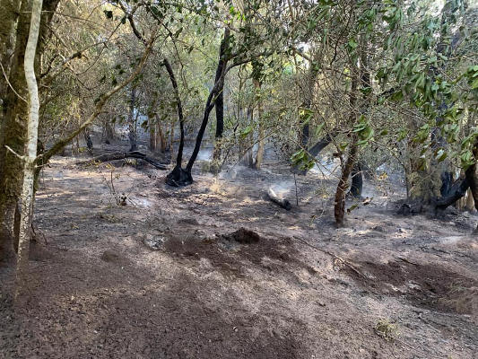 la_gomera_estincion_conato_incendio_2020 Extinguido el conato de incendio de la zona de Las Creces