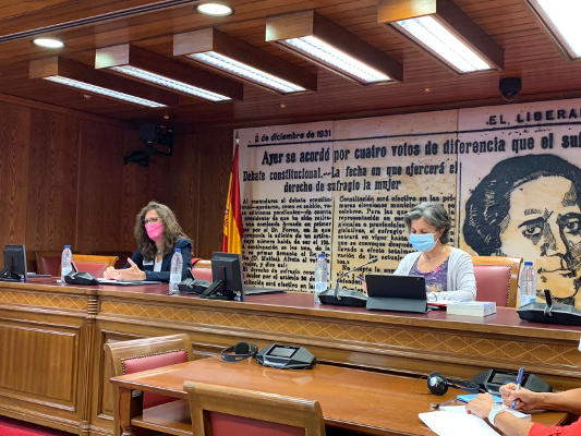 gobcan_kika_fumero_senado_2020 Fumero pide que los fondos contrala violencia de género sean plurianuales