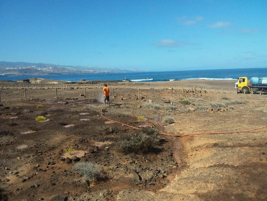 gcanaria_proyecto_la_isleta_2020 Retira postes, instala bolardos y planta más de 400 tabaibas