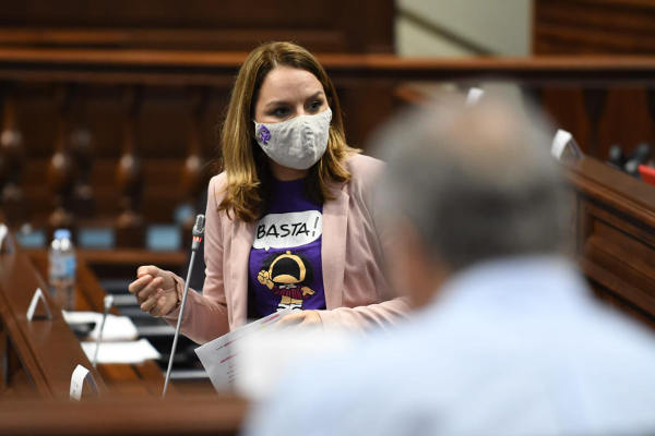 gobcan_noemi_santana_parlamento_2020 Para luchar contra la violencia de género, se incrementa el presupuesto