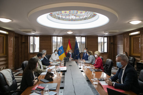 gobcan_cermi_discapacidad_pandemia_2020 La situación de las personas con discapacidad en la pandemia