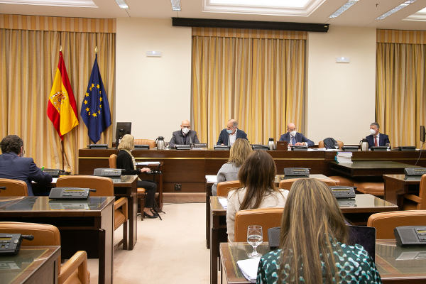 cocemfe_pide_congreso_escuchar_personas_discapacidad_2021 Pide al Congreso que escuche a las personas con discapacidad