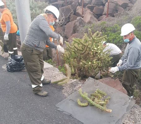 la_gomera_control_especies_invasoras_2021 Control de especies invasoras en espacios protegidos de la isla