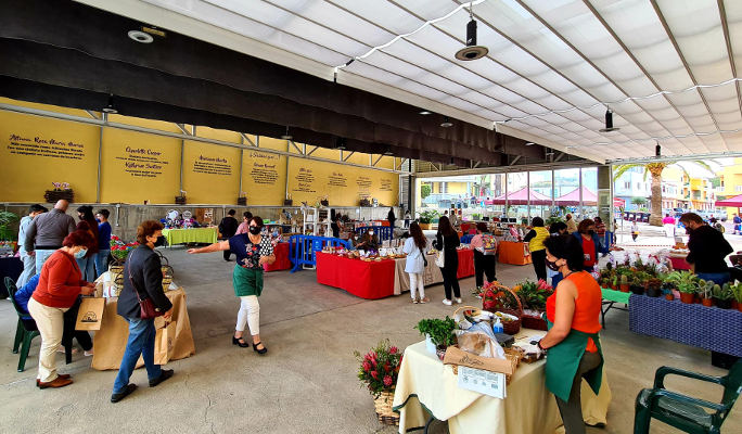 barlovento_mercadillojardineria_2021 El Mercadillo de Barlovento centrará su temática en la jardinería
