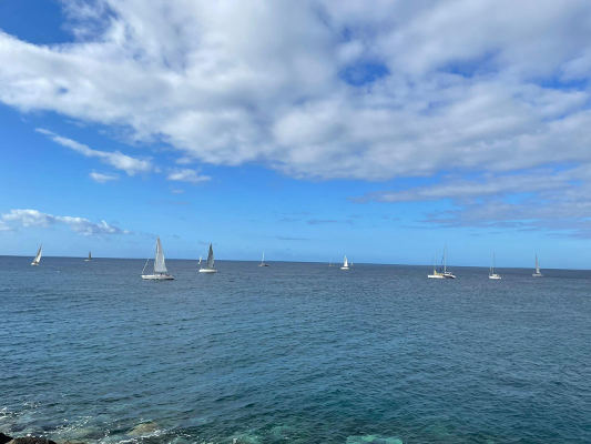 lagomera_puerto_vueltas_recibe_regata_2021 El Puerto de Vueltas recibe la V Regata Puertos Canarios