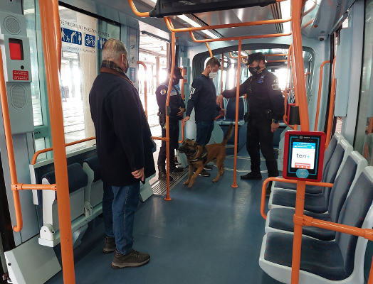 tenerife_metrotenerife_guiascaninos_2022 El Tranvía acoge la formación de guías caninos de las policías locales