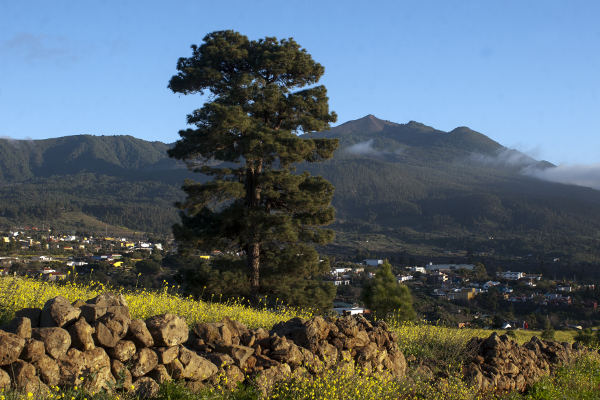 gobcan_Reserva_Biodiversidad_2022 Transición Ecológica convoca ayudas para Reservas de la Biosfera