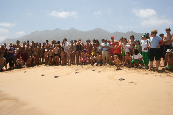 gobcan_Accésit_Colectivo_A_AVANFUER_2022 Canarias premia el compromiso social con la juventud