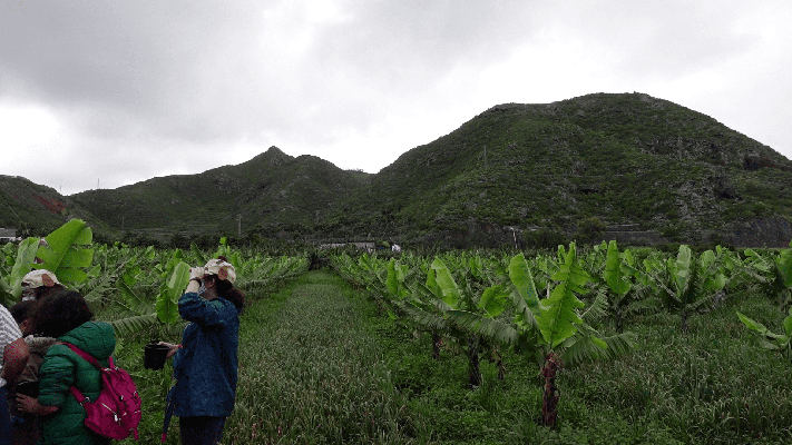 LaLaguna_finca_2023 La Laguna impulsa la agroecología en las plantaciones y fincas
