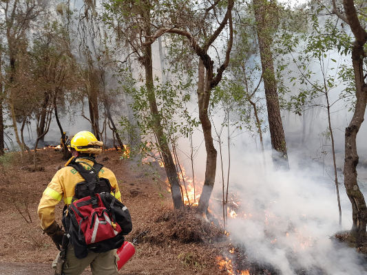 tenerife_Incendio_vuelta_a_casa_2023 El Cabildo autoriza la vuelta a sus casas de las 20 personas de Santa Úrsula que permanecían evacuadas por el incendio