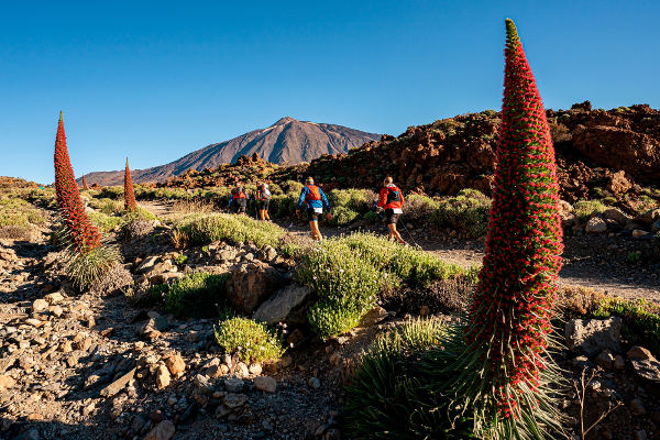 tenerife_bluetrail_se_une_circuito_UTMB_2023 La Tenerife Bluetrail se une al circuito de las UTMB® World Series