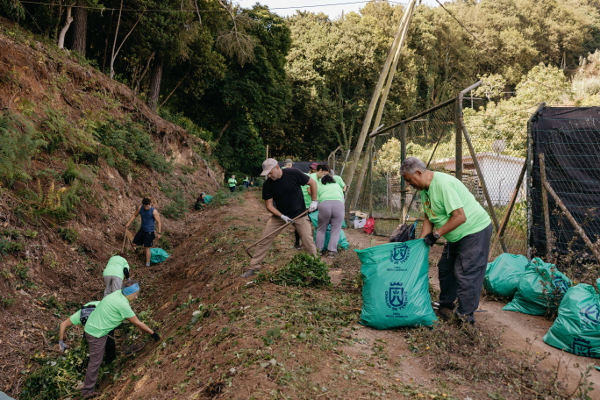 tenerife_Voluntariado_Ambiental_Tacoronte_2024 Voluntariado ambiental para protección y conservación del territorio