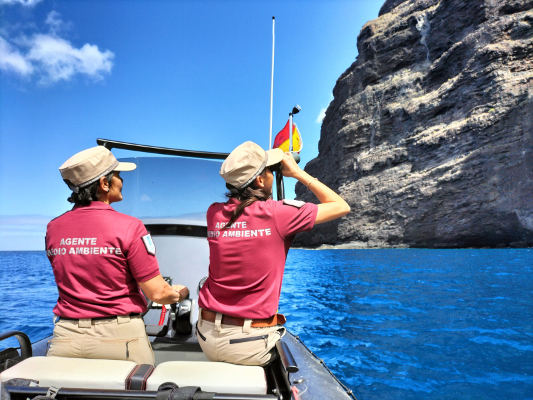 tenerife_vigilancia_biodiversidad_Acantalido_de_Los_Gigantes_2024 El Cabildo refuerza la vigilancia de la biodiversidad