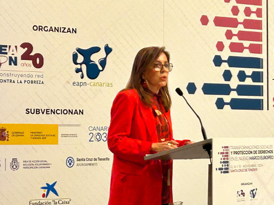 diputada_del_común_Lola_Padrón_2024 Alianza entre administraciones públicas, sociedad civil y las ONG