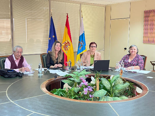 gobcan_Consejo_del_Mayor_2024 El Consejo Canario de los Mayores plantea nuevos reglamentos