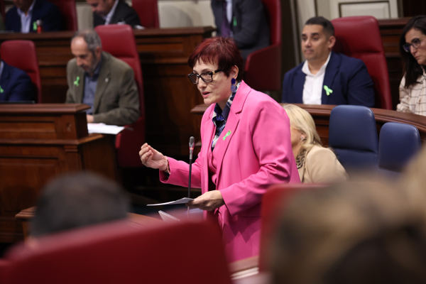 gobcan_dependencia_Candelaria_Delgado_2025 Mejora del esfuerzo inversor del Gobierno en Dependencia