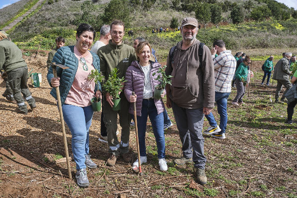 tenerife_restauración_Montaña_Fagundo_2025 Restauración ecológica de la Finca Fagundo