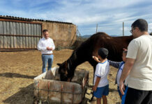 Caballos rescatados acompañan el crecimiento de los escolares Caballos rescatados acompañan el crecimiento de los escolares
