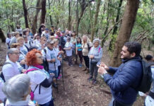 Senderos con Experiencia, fomento del envejecimiento activo Senderos con Experiencia, fomento del envejecimiento activo